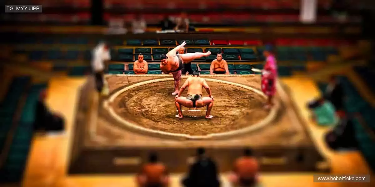 球迷专属装备库，限量潮品一键收藏！🎁